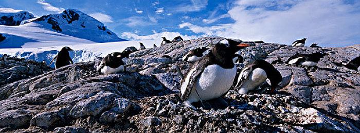 邪恶结局优化 《博德之门3》7号补丁下周终于到来