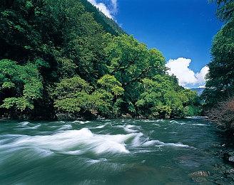 《如龙》系列不会刻意迎合年轻粉丝 仍会讲述中年男人的故事